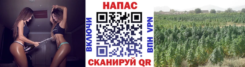 Где можно купить наркотики Богородск гидра ссылки  Мефедрон  СОЛЬ  МАРИХУАНА  КОКАИН 