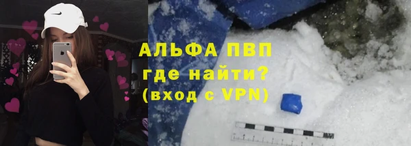 ECSTASY Богородицк