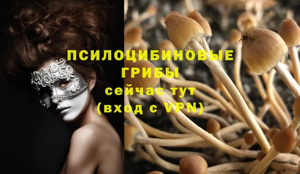 гашишное масло Каменка
