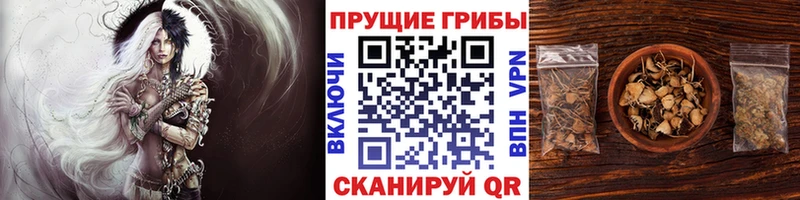 Галлюциногенные грибы мухоморы  Богородск 