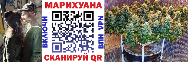 Конопля план  Богородск 